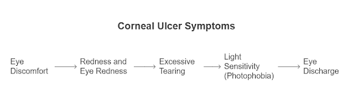 Neoretina Blog | How to Protect Your Eyes and Prevent Corneal Ulcers? Tips and tricks